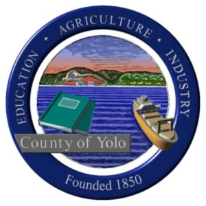 Yolo traffic court